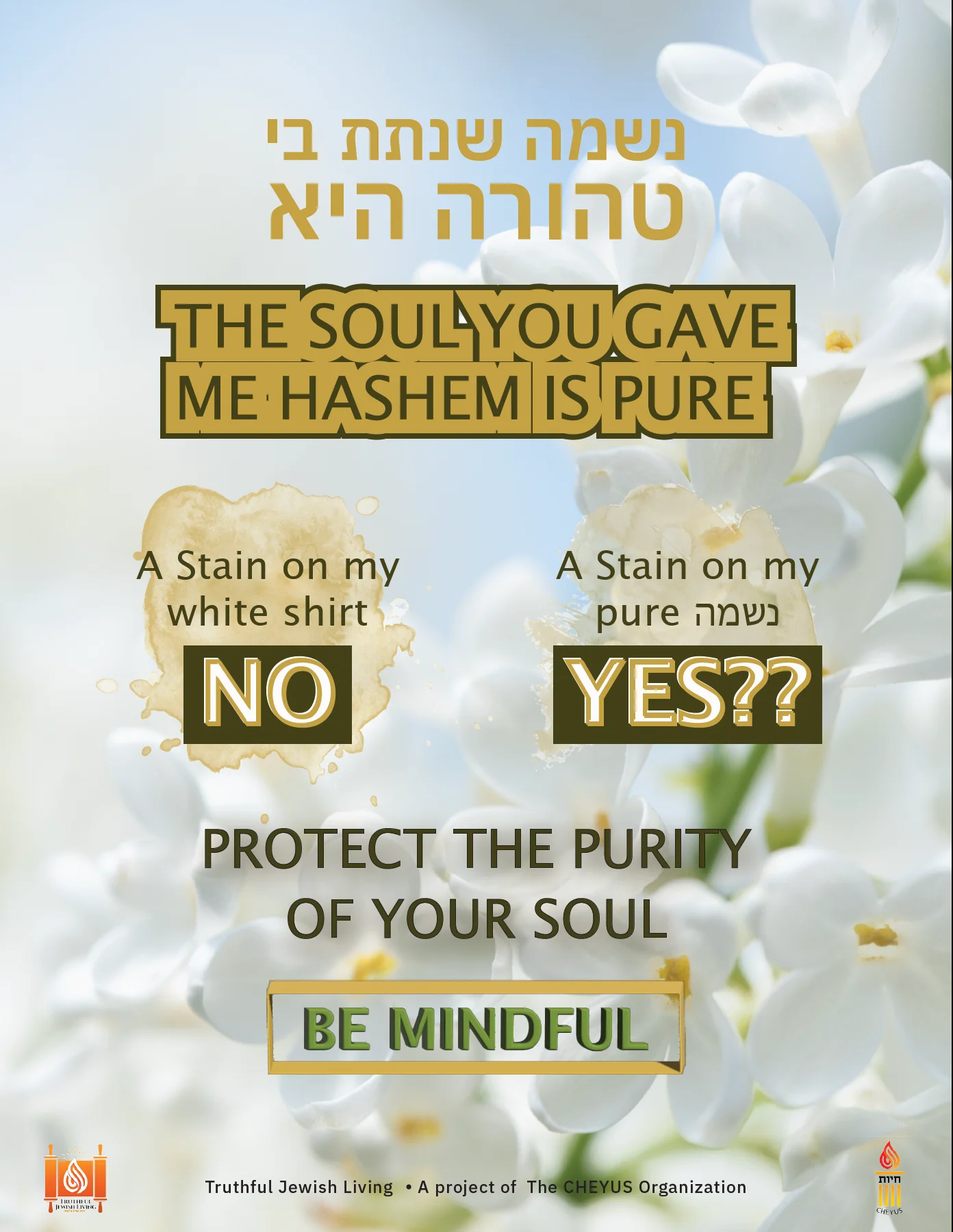 Be Mindful